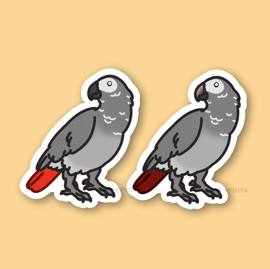 African Grey Parrot or Timneh Parrot - 3" Parrot Sticker or 2" Keychain or 3" Keychain