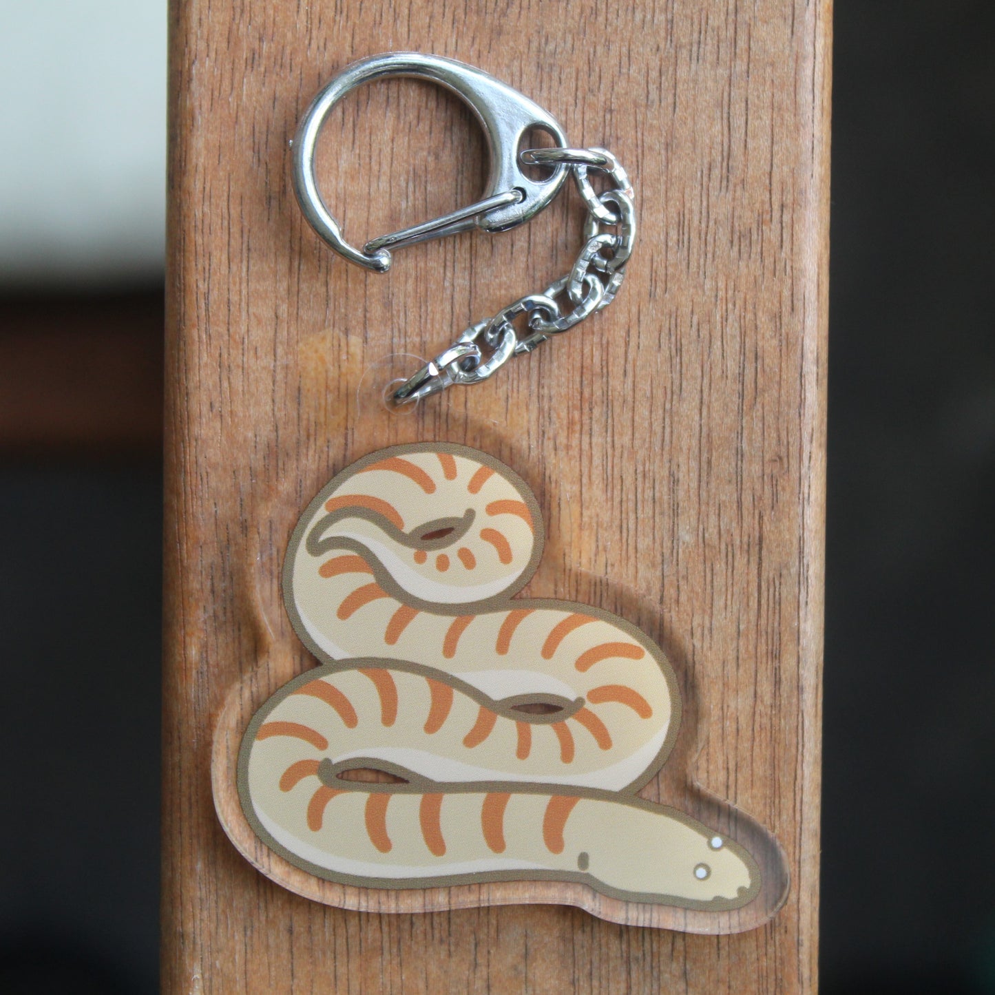 Arabian Sand Boa - 3" Desert Boa Snake Sticker or 2" Keychain