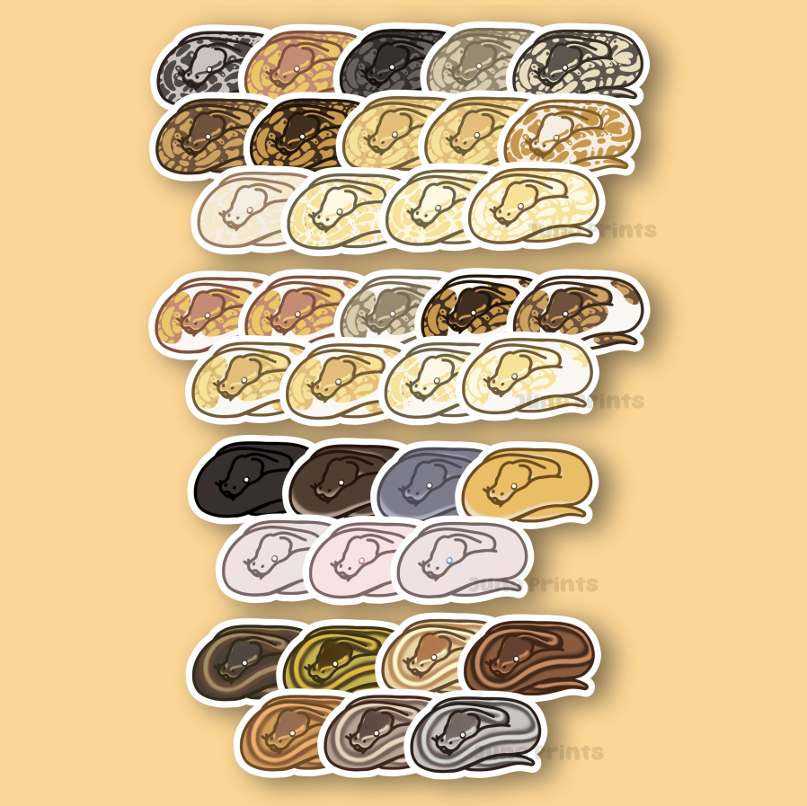 Ball Pythons! - 3" Royal Python Sticker or 2" Keychain Snake