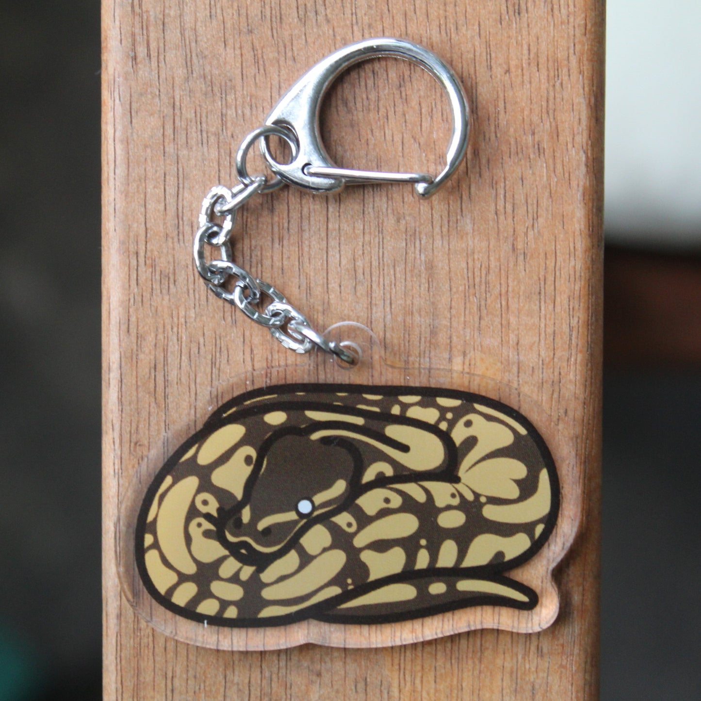 Ball Pythons - 3" Waterproof, UV-Resistant Sticker or 2" Acrylic Keychain - Normal Pattern, Color Morphs, Piebald Pied