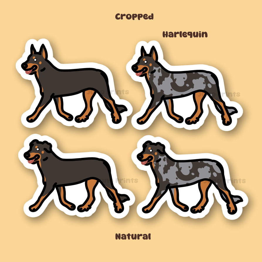 Beauceron Dog French Shepherd Sticker - 3" Waterproof Sticker Herding