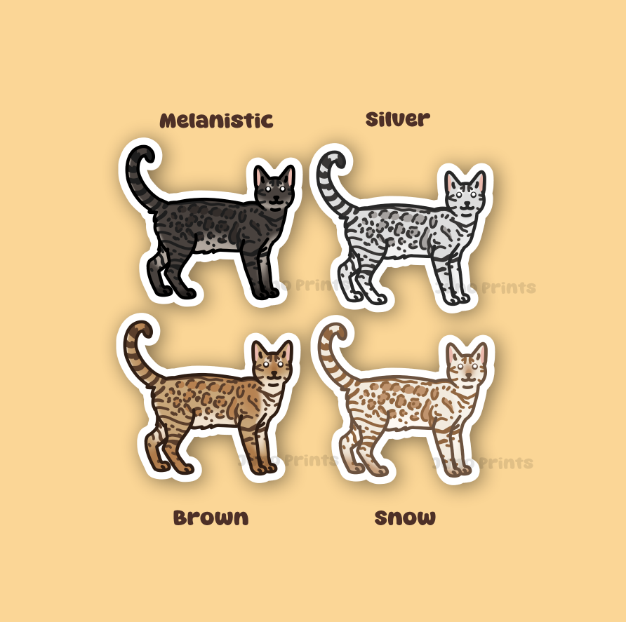 Bengal Shorthair Cats - 3" Cat Sticker