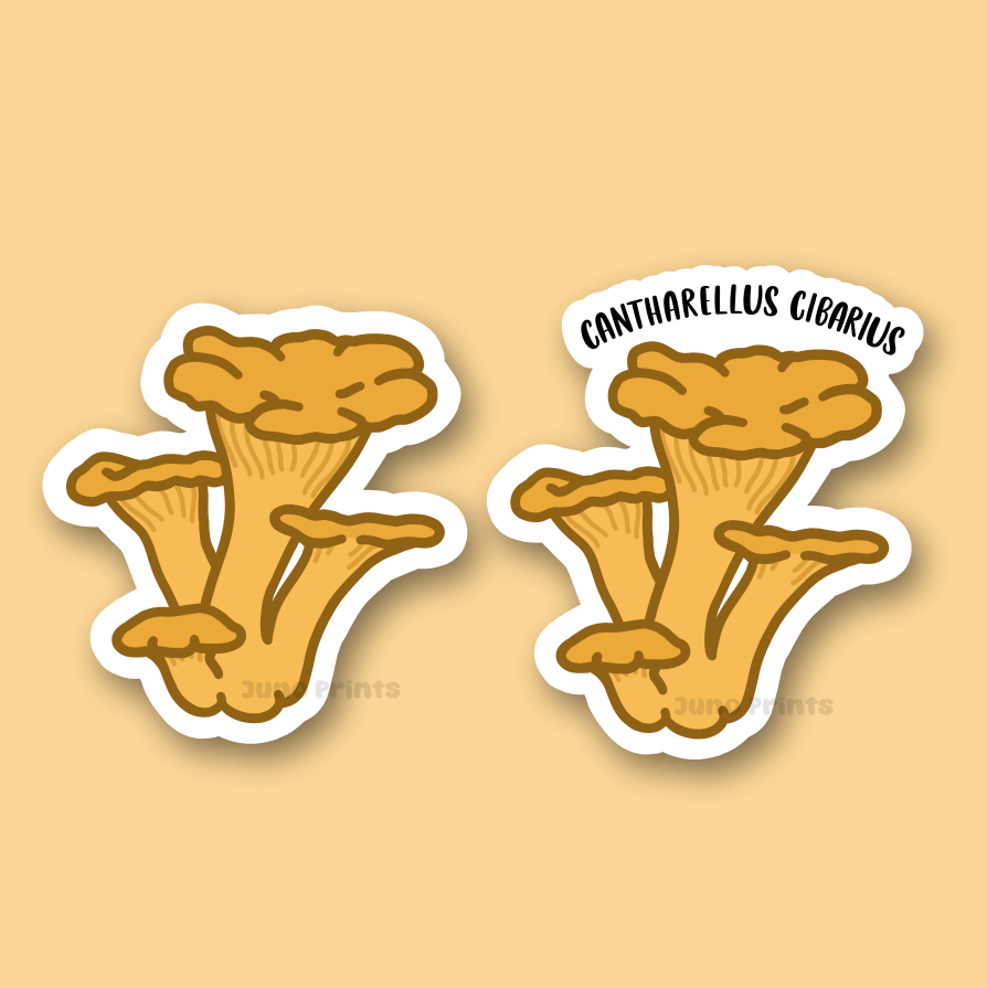 Chanterelle Mushroom Sticker - 3" Waterproof Mushroom Sticker - Cantharellus cibarius