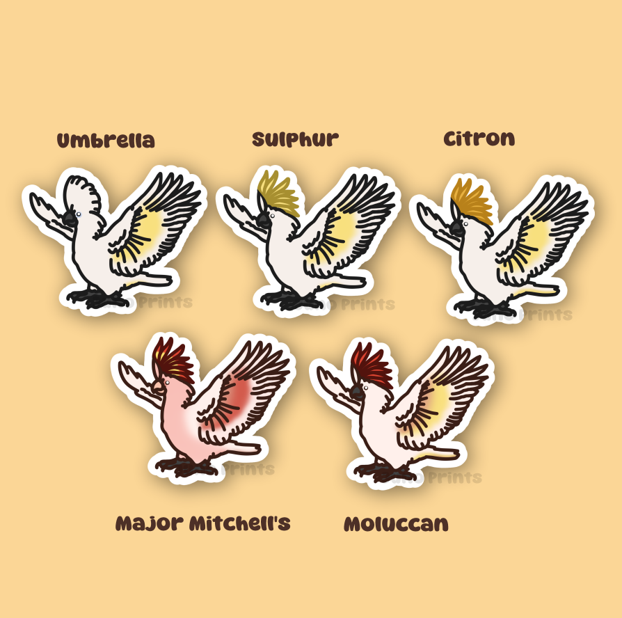 Cockatoo Sticker - 3" Umbrella, Sulphur-Crested, Citron-Crested, Moluccan, Major-Mitchells Sticker or 2" Keychain