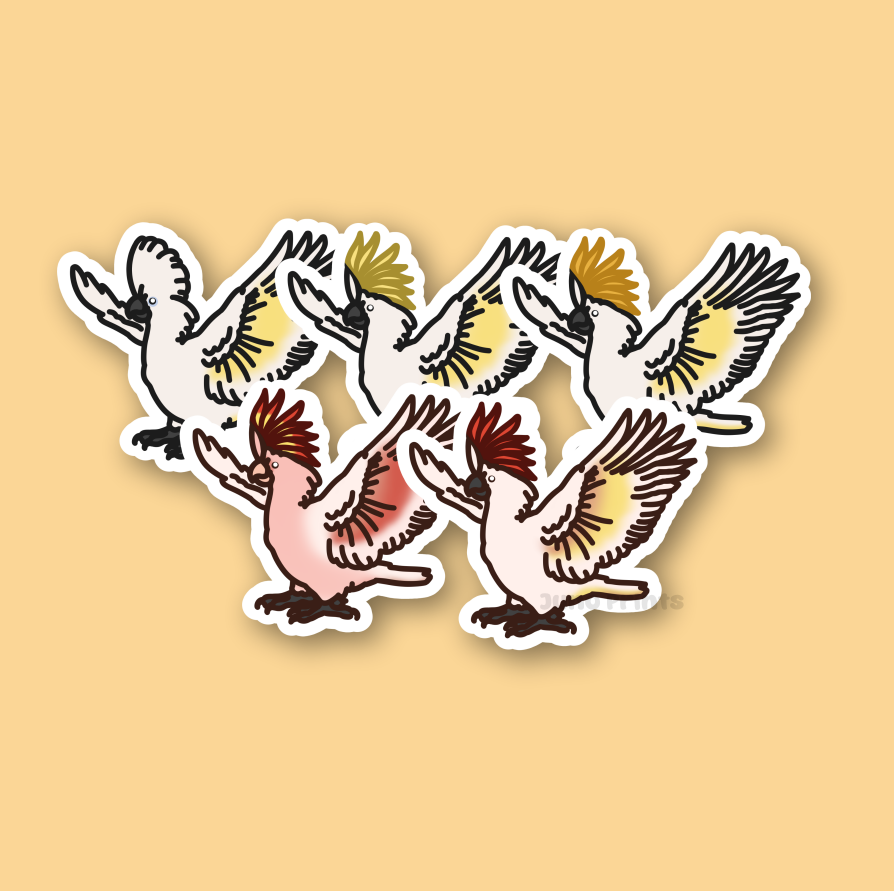 Cockatoo Sticker - 3" Umbrella, Sulphur-Crested, Citron-Crested, Moluccan, Major-Mitchells Sticker or 2" Keychain
