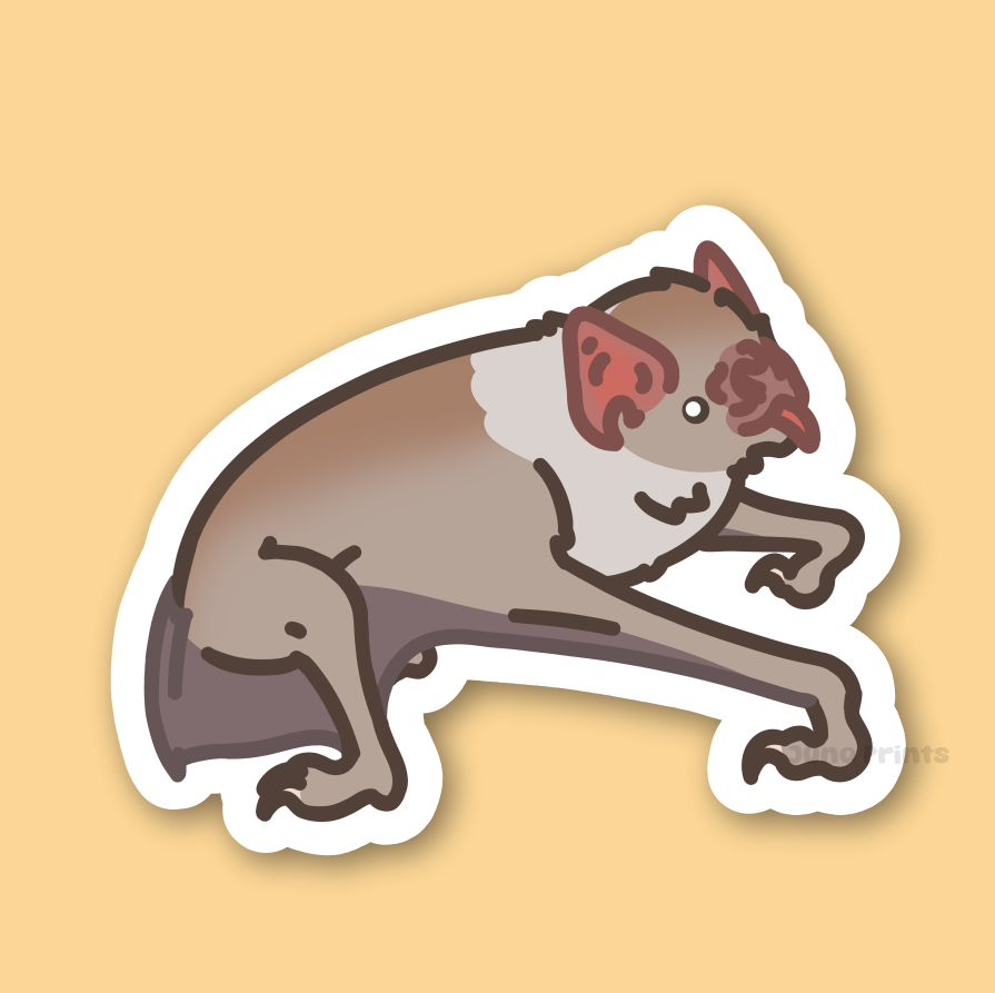 Common Vampire Bat - 3" Sticker