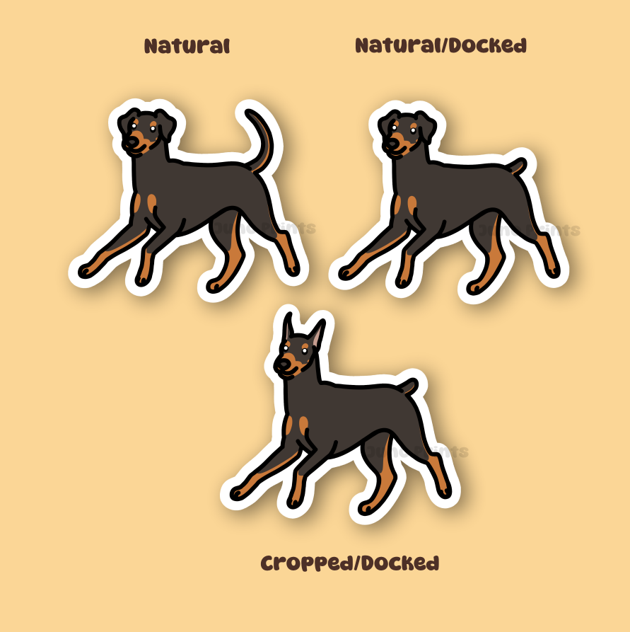 Doberman Pinscher - 3" Dobermann, German Pinscher Sticker or 2" Keychain or 3" Keychain Working