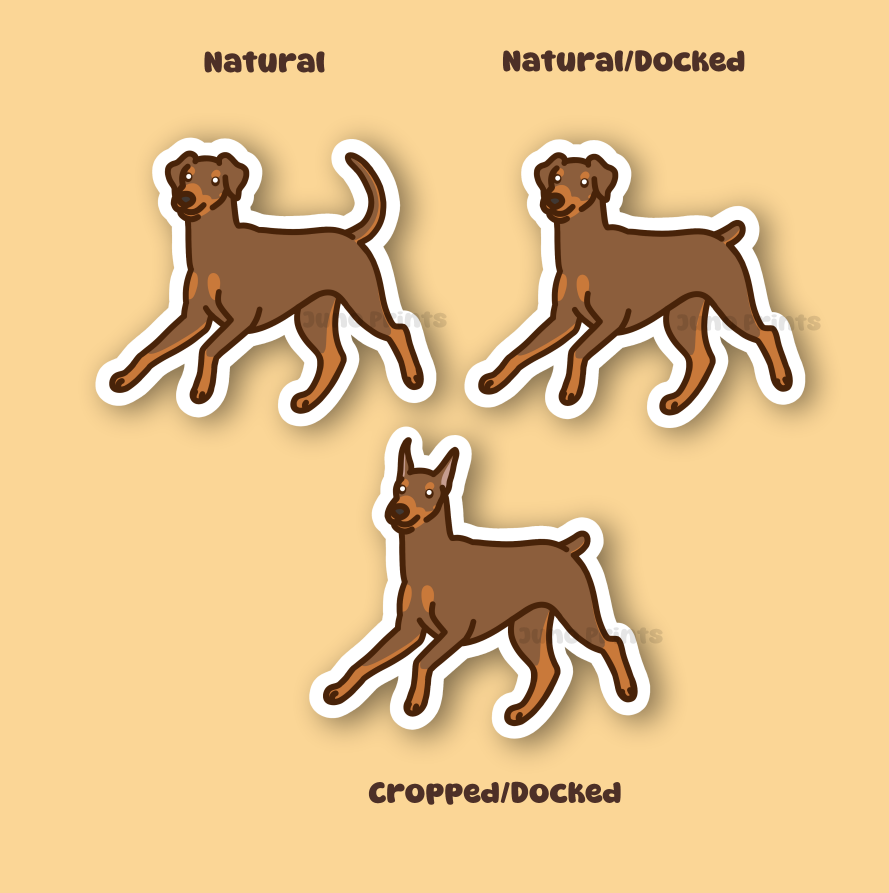 Doberman Pinscher - 3" Dobermann, German Pinscher Sticker or 2" Keychain or 3" Keychain Working