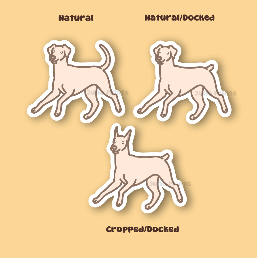 Doberman Pinscher - 3" Dobermann, German Pinscher Sticker or 2" Keychain or 3" Keychain Working