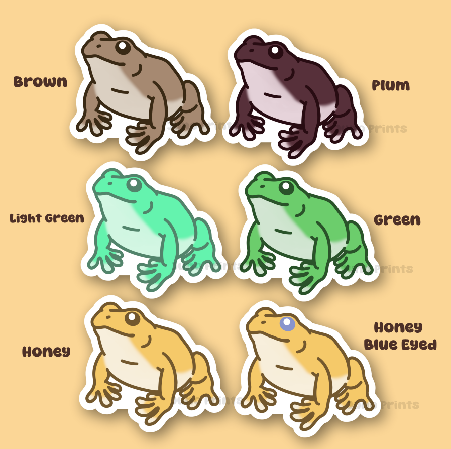 White's Tree Frog - Australian Dumpy Tree Frog 3" Sticker or 2" Keyhain