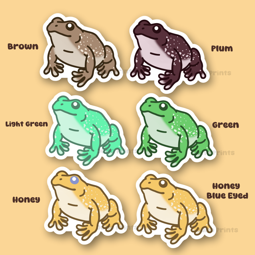 White's Tree Frog - Australian Dumpy Tree Frog 3" Sticker or 2" Keyhain