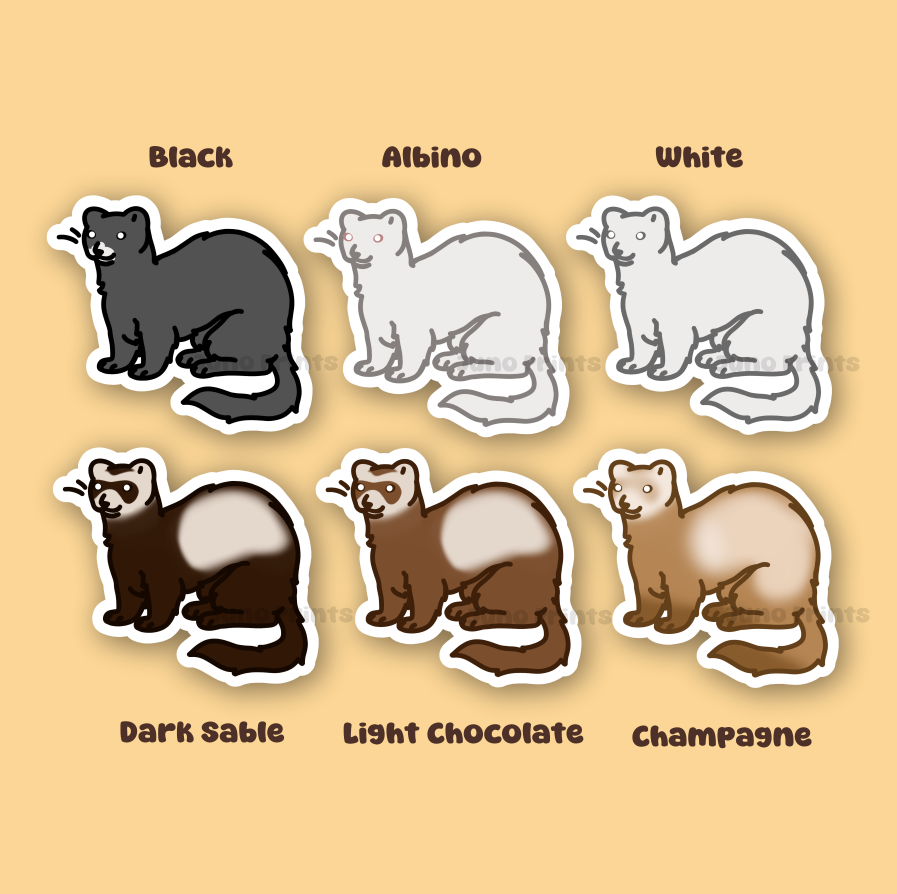Ferret Sticker - 3" Mustelid Sticker or 2" Keychain