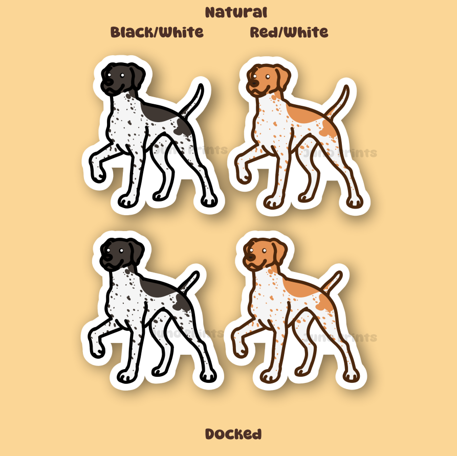 Pointer GSP - 3" English Pointer, German Shorthaired Pointer Dog Sticker or 2" Keychain Sporting