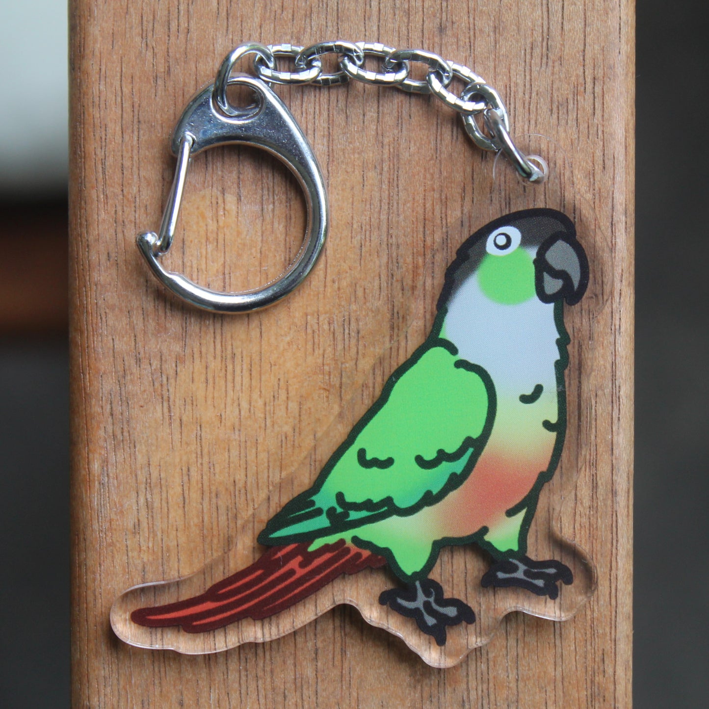 Conure Sticker - 3" Sun Conure, Green Cheek Variants Sticker or 2" Keychain