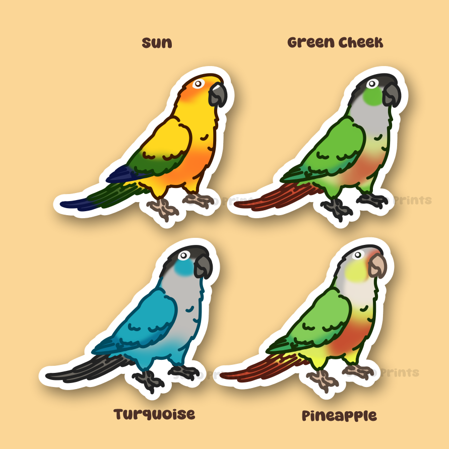 Conure Sticker - 3" Sun Conure, Green Cheek Variants Sticker or 2" Keychain