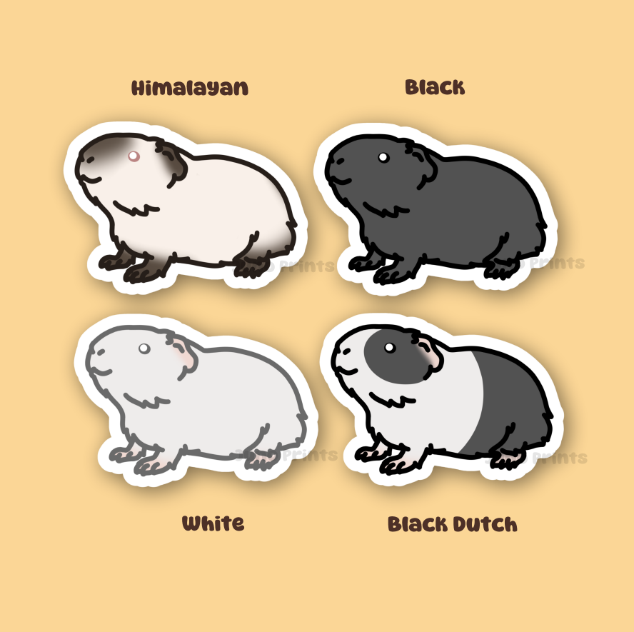 Guinea Pig Sticker - 3" Rodent Sticker - American or Hairless/Skinny Pig/BaldwinS