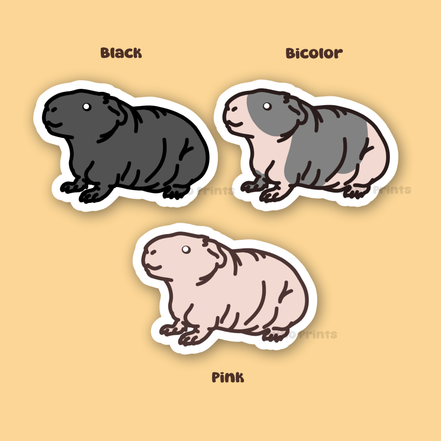 Guinea Pig Sticker - 3" Rodent Sticker - American or Hairless/Skinny Pig/BaldwinS
