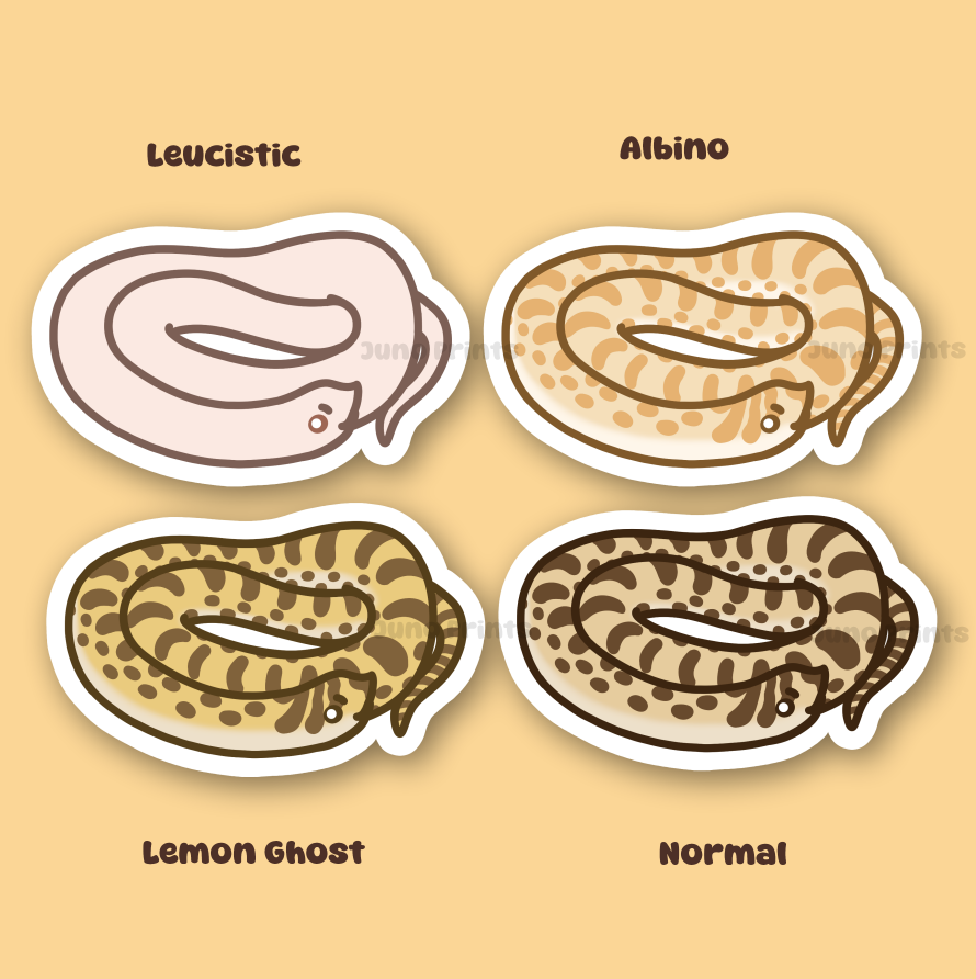 Eastern Hognose Snake - 3" Small Colubrid Western Hognose Puff Adder Hoggy Sticker