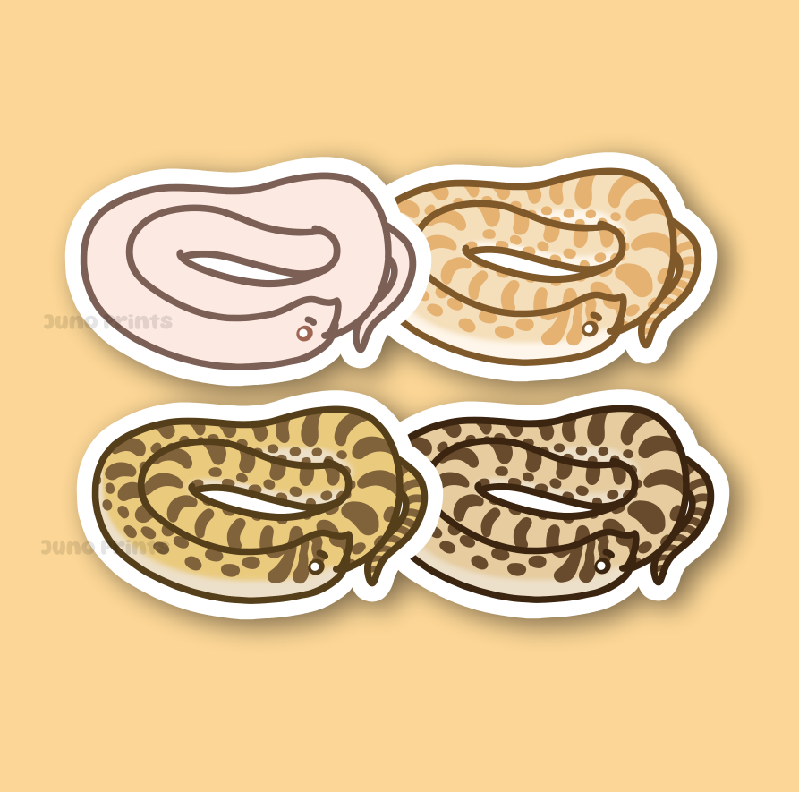 Eastern Hognose Snake - 3" Small Colubrid Western Hognose Puff Adder Hoggy Sticker