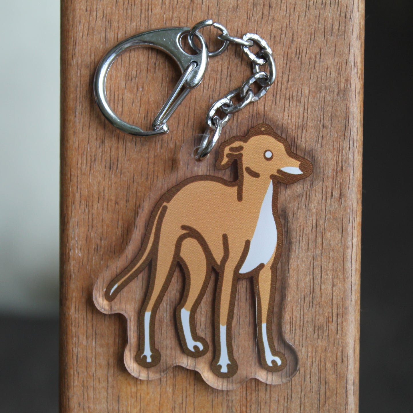 Italian Greyhound - 3" Iggy Dog Sticker or 2" Keychain Toy
