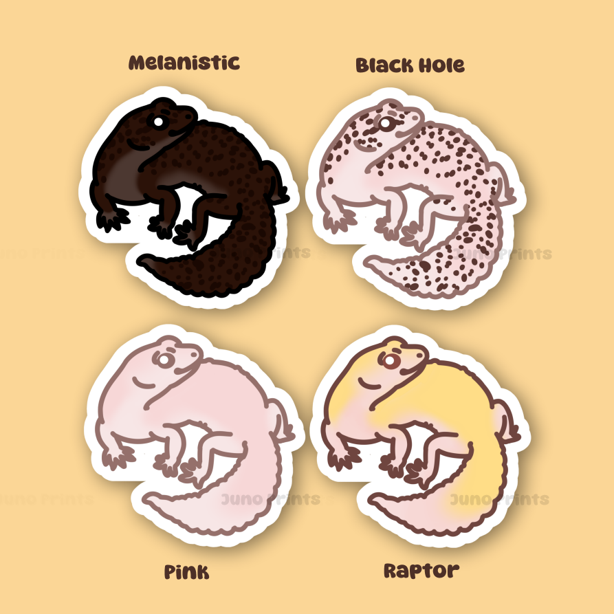 Leopard Gecko - 3" Land Gecko Sticker