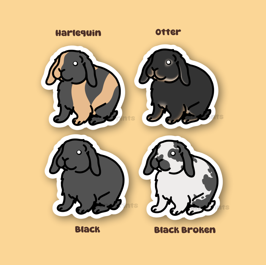 Holland Lop Sticker - 3" Holland or Other Lop Variety Rabbit Sticker or 2" Keychain