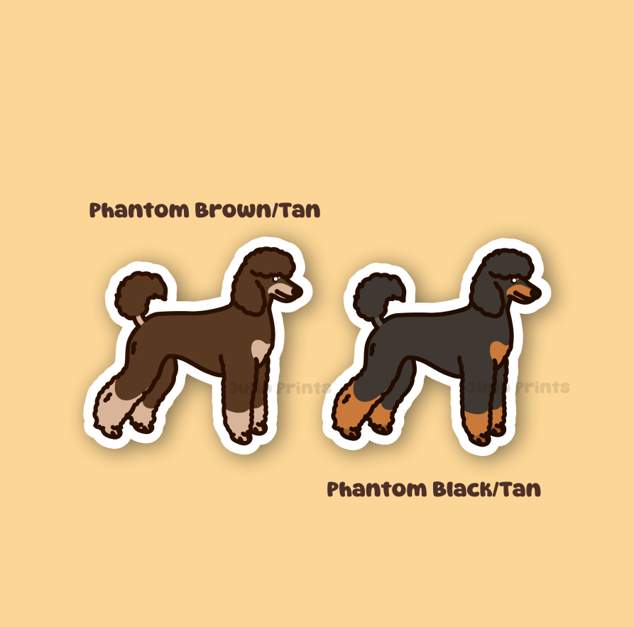 Standard Poodle - 3" Dog Sticker or 2" Keychain Non-Sporting