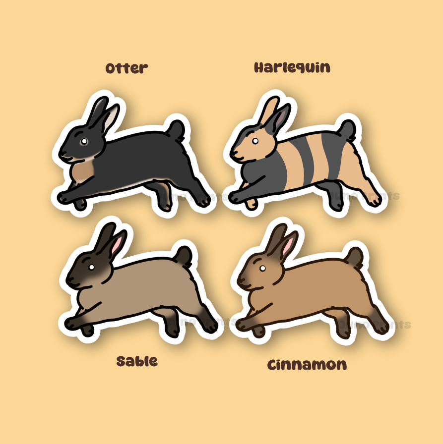 Rabbit Sticker - 3" American, Dutch, Cinnamon, Sable, Rex, and/or Californian/Himalayan or 2" Keychain