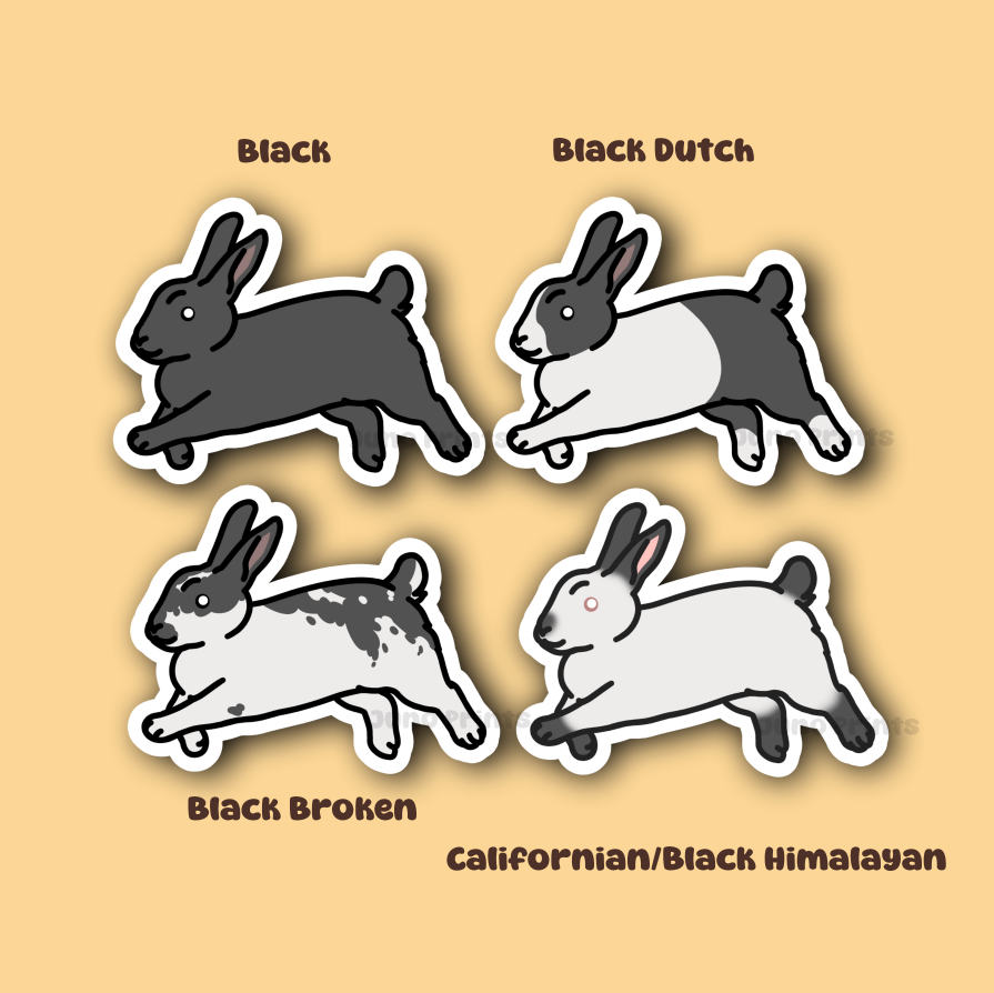 Rabbit Sticker - 3" American, Dutch, Cinnamon, Sable, Rex, and/or Californian/Himalayan or 2" Keychain