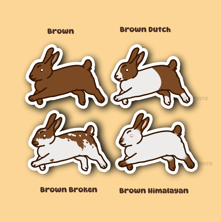 Rabbit Sticker - 3" American, Dutch, Cinnamon, Sable, Rex, and/or Californian/Himalayan or 2" Keychain