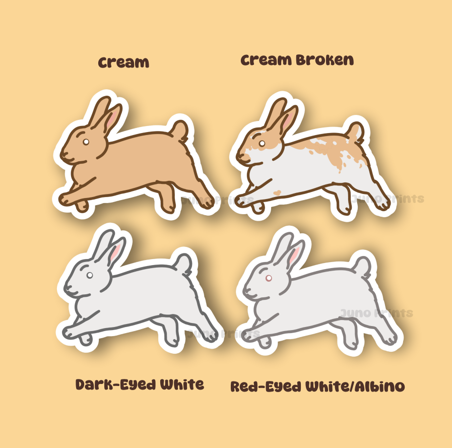 Rabbit Sticker - 3" American, Dutch, Cinnamon, Sable, Rex, and/or Californian/Himalayan or 2" Keychain