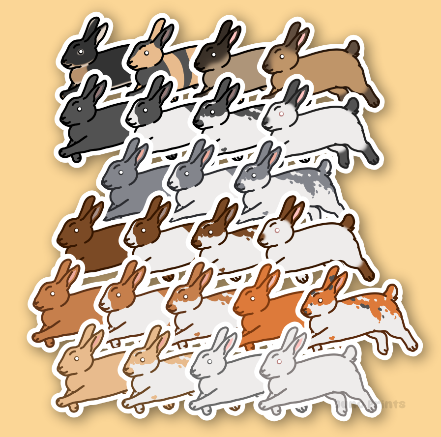 Rabbit Sticker - 3" American, Dutch, Cinnamon, Sable, Rex, and/or Californian/Himalayan or 2" Keychain