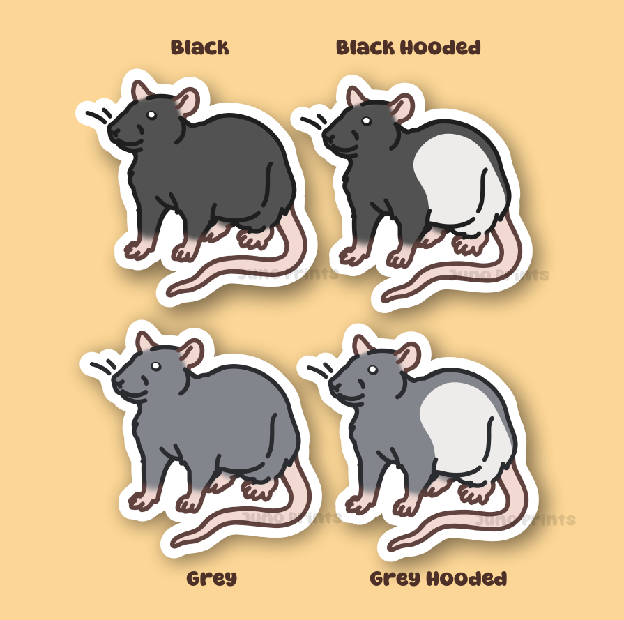 Rat Sticker - 3" Rodent Sticker or 2" Keychain