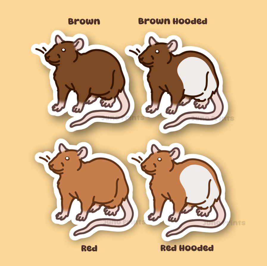 Rat Sticker - 3" Rodent Sticker or 2" Keychain