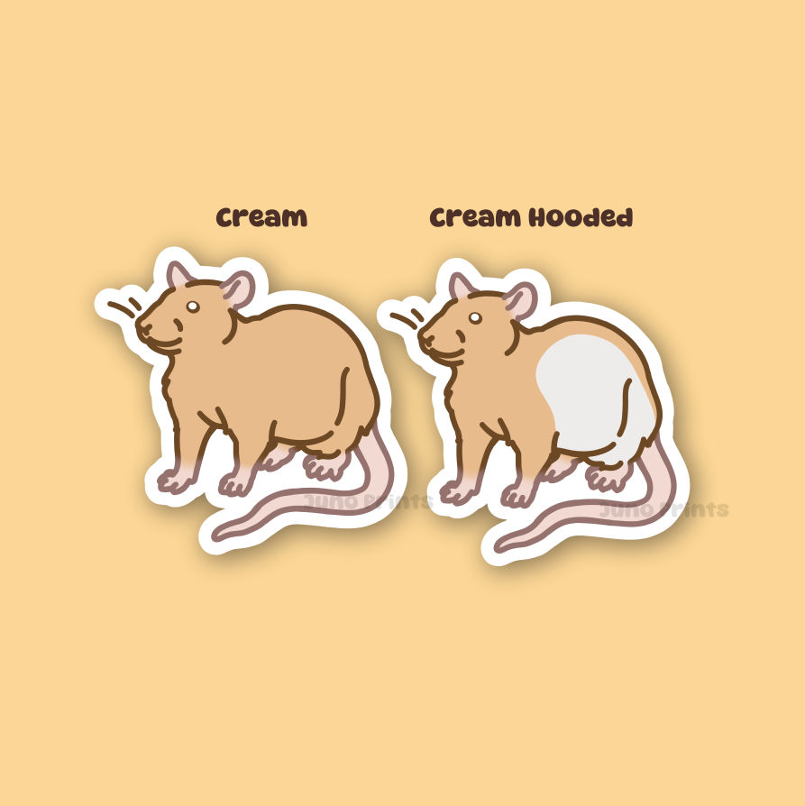 Rat Sticker - 3" Rodent Sticker or 2" Keychain