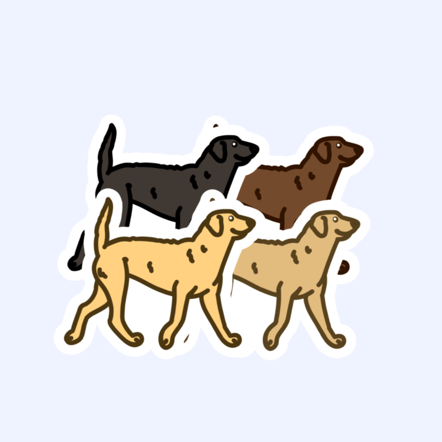 Chesapeake Bay Retriever or Curly Coated Retriever - 3" Waterproof Sticker