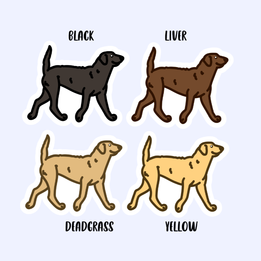 Chesapeake Bay Retriever or Curly Coated Retriever - 3" Waterproof Sticker