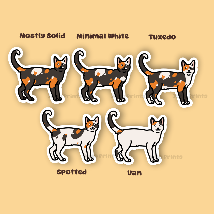 Calico or Tortoiseshell Domestic Shorthair Sticker - 3" Regular or Dilute Cat Sticker