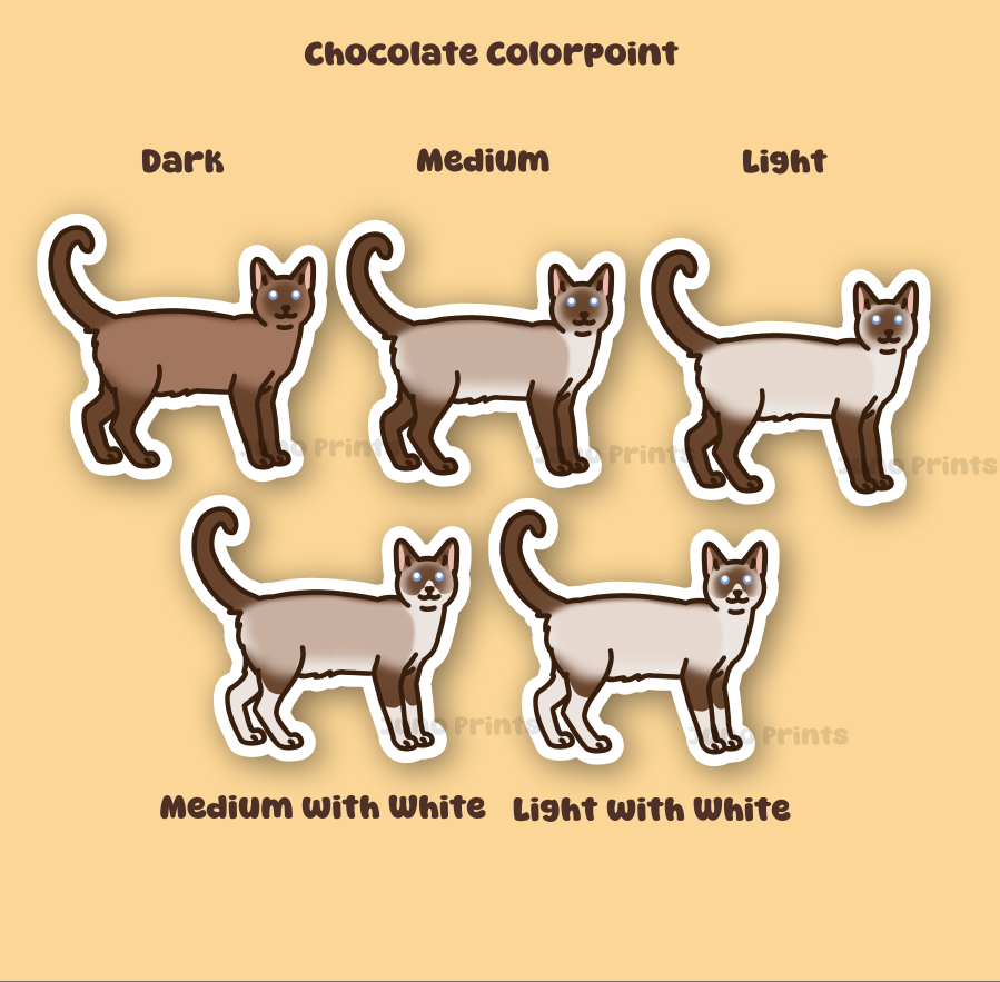 Colorpoint Siamese Shorthair Cats - 3" Tonkinese, Burmese Sticker