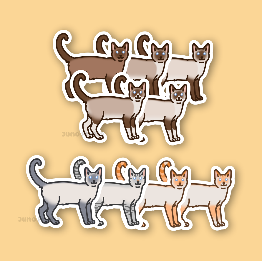 Colorpoint Siamese Shorthair Cats - 3" Tonkinese, Burmese Sticker