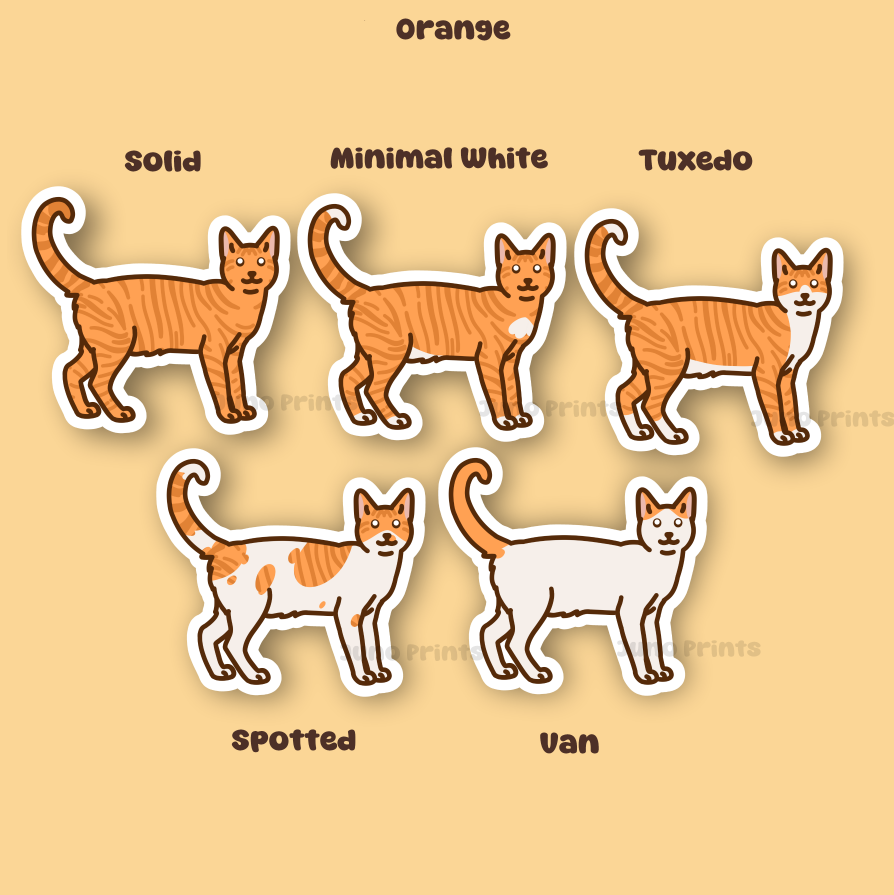 Orange Shorthair Cat Stickers - 3" Dark, Medium, Light Oranges