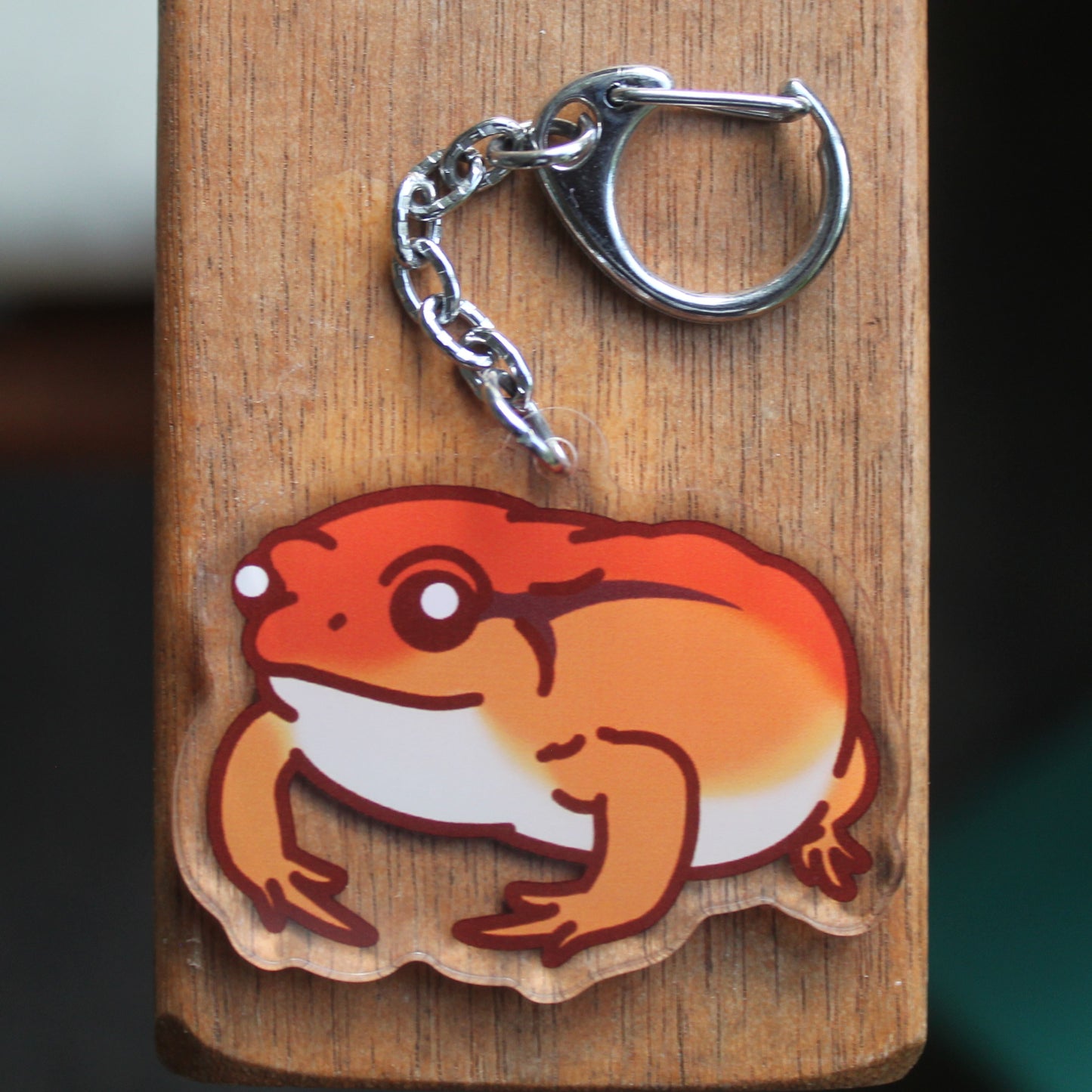 Tomato Frog! - 3" Dyscophus antongilii Frog Sticker or 2" Keychain