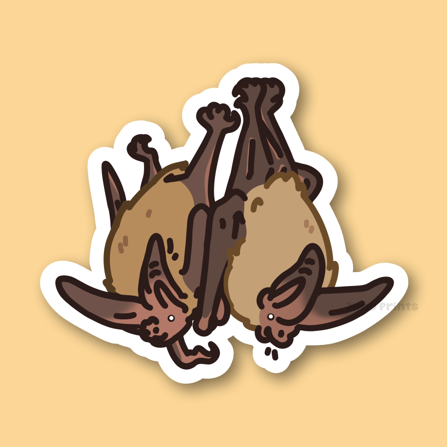 Townsend's Big-Eared Bat - 3" Sticker