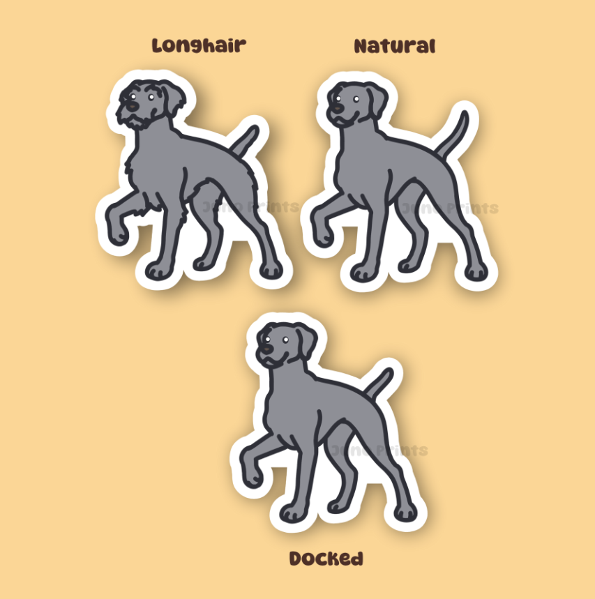 Weimaraner - 3" Pointer Dog Sticker or 2" Keychain Sporting