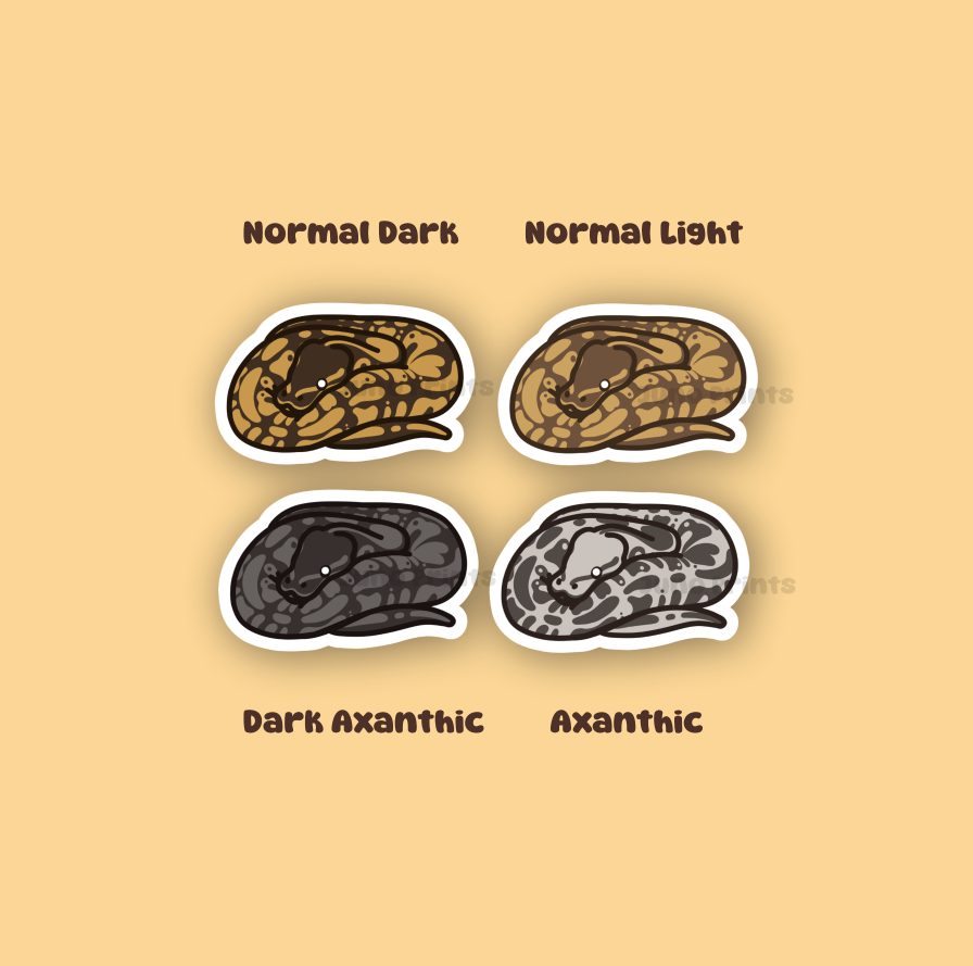 Ball Pythons - 3" Waterproof, UV-Resistant Sticker or 2" Acrylic Keychain - Normal Pattern, Color Morphs, Piebald Pied
