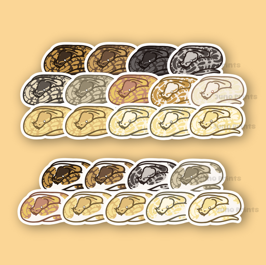 Ball Pythons - 3" Waterproof, UV-Resistant Sticker or 2" Acrylic Keychain - Normal Pattern, Color Morphs, Piebald Pied