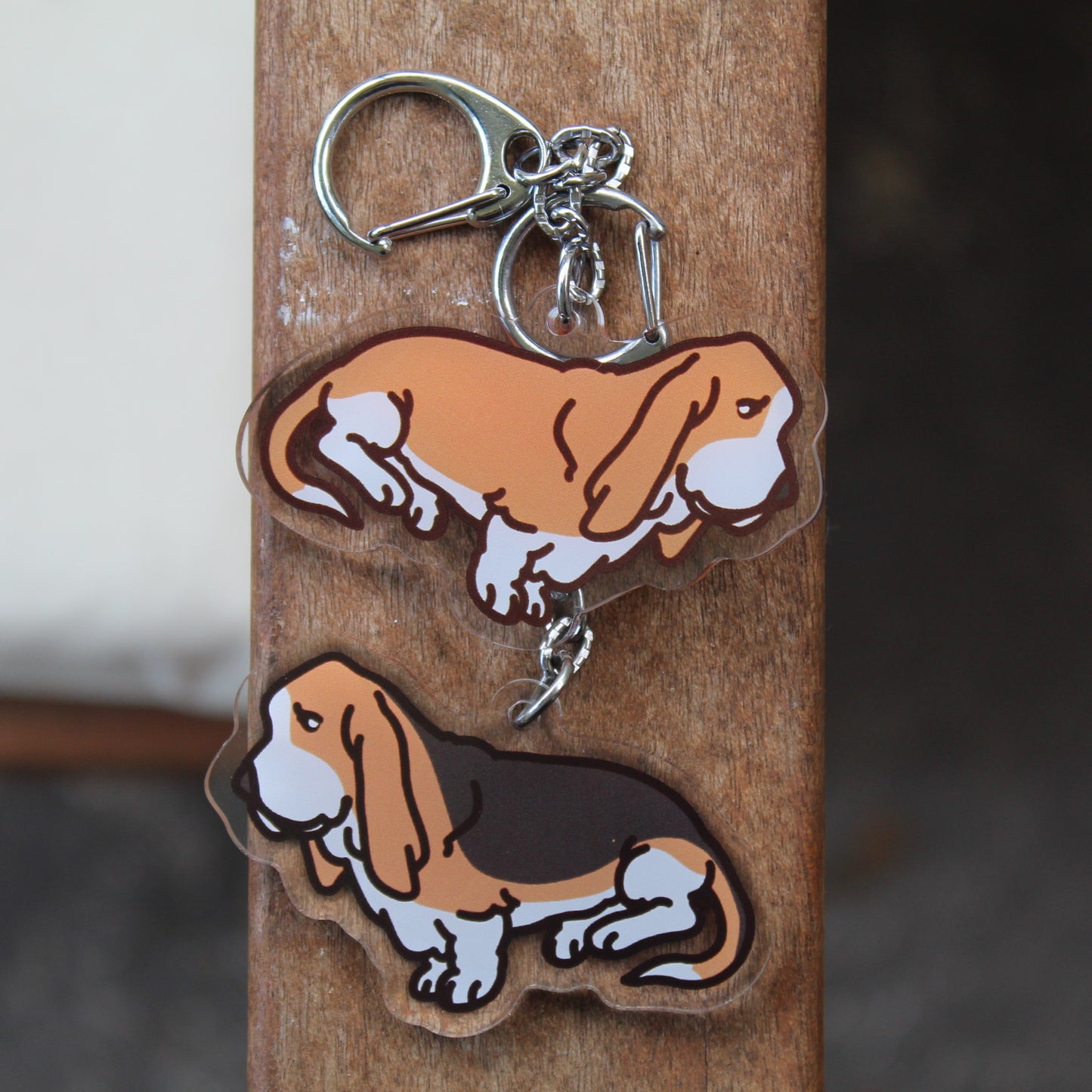 Basset Hound - 3" Low Set Scent Hound Dog Sticker or 2" Keychain