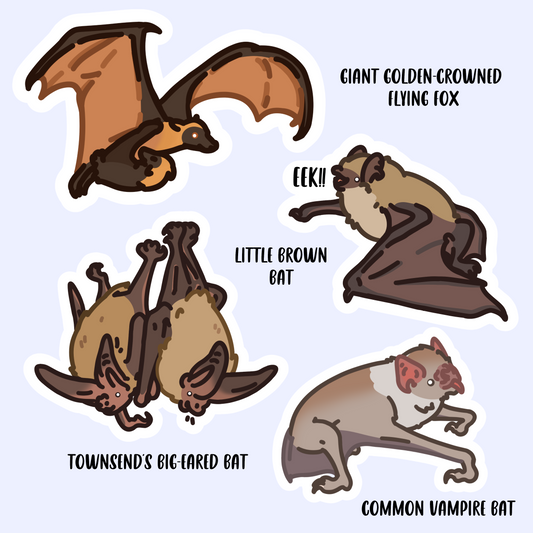 Bats! Giant Golden-Crowned Flying Fox, Townsend's Big-Eared Bat, Common Vampire Bat, Little Brown Bat 3" Sticker