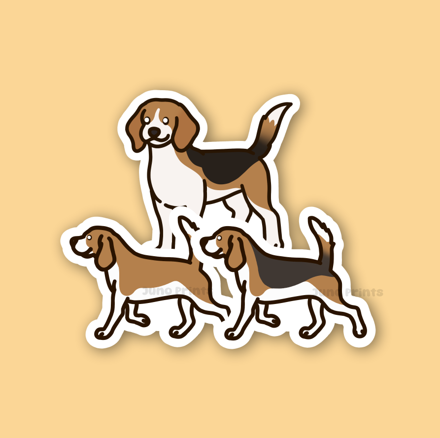 Beagle Dog Sticker - 3" Beagle Short/Tall Sticker or 2" Keychain Hound