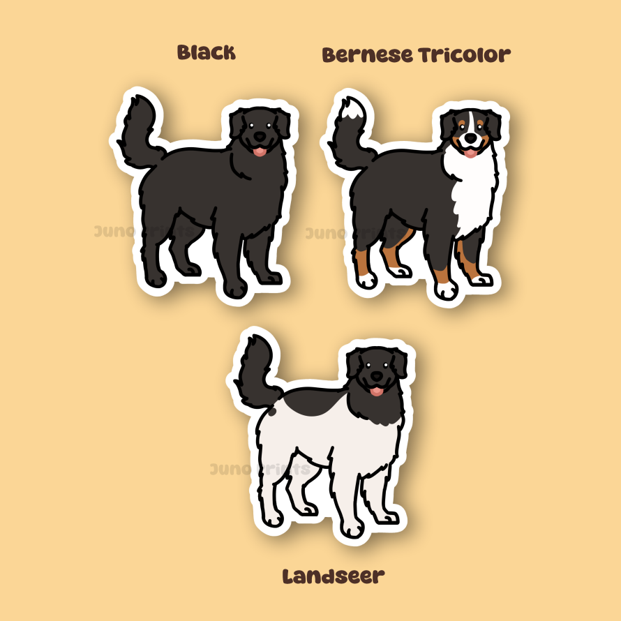 Bernese Mountain Dog, Newfoundland, Great Pyrenees - 3" Sticker or 2" Keychain or 3" Keychain Working